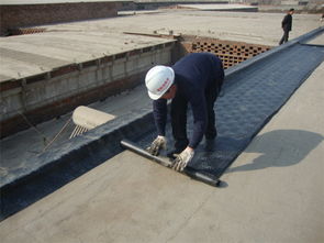 連云港sbs防水卷材供應,連云港sbs防水卷材供應生產廠家,連云港sbs防水卷材供應價格